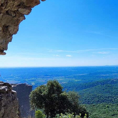 Le Castellas du Pic St Loup Saint-Mathieu-de-Tréviers Buitenkant foto