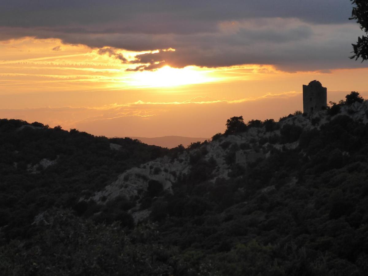 Le Castellas du Pic St Loup Saint-Mathieu-de-Tréviers Buitenkant foto