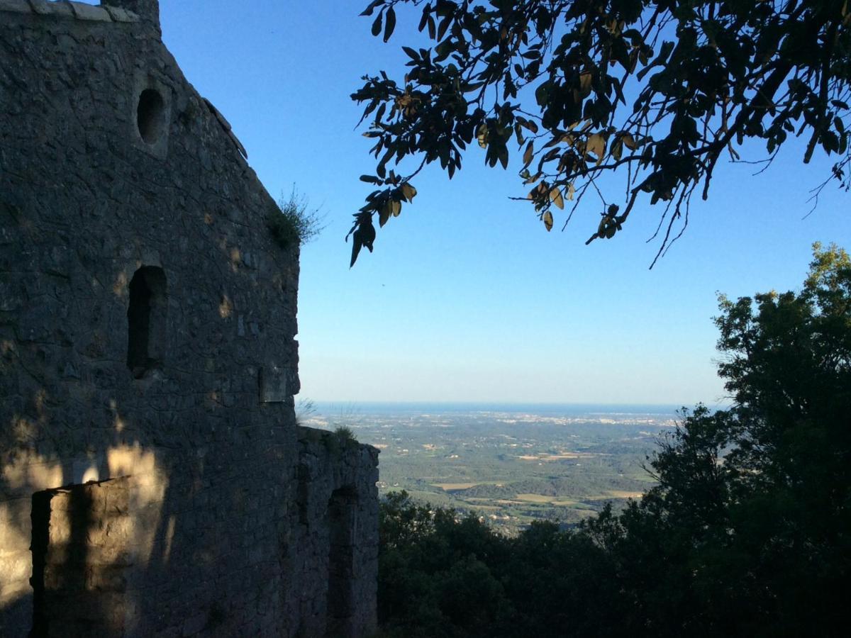 Le Castellas du Pic St Loup Saint-Mathieu-de-Tréviers Buitenkant foto