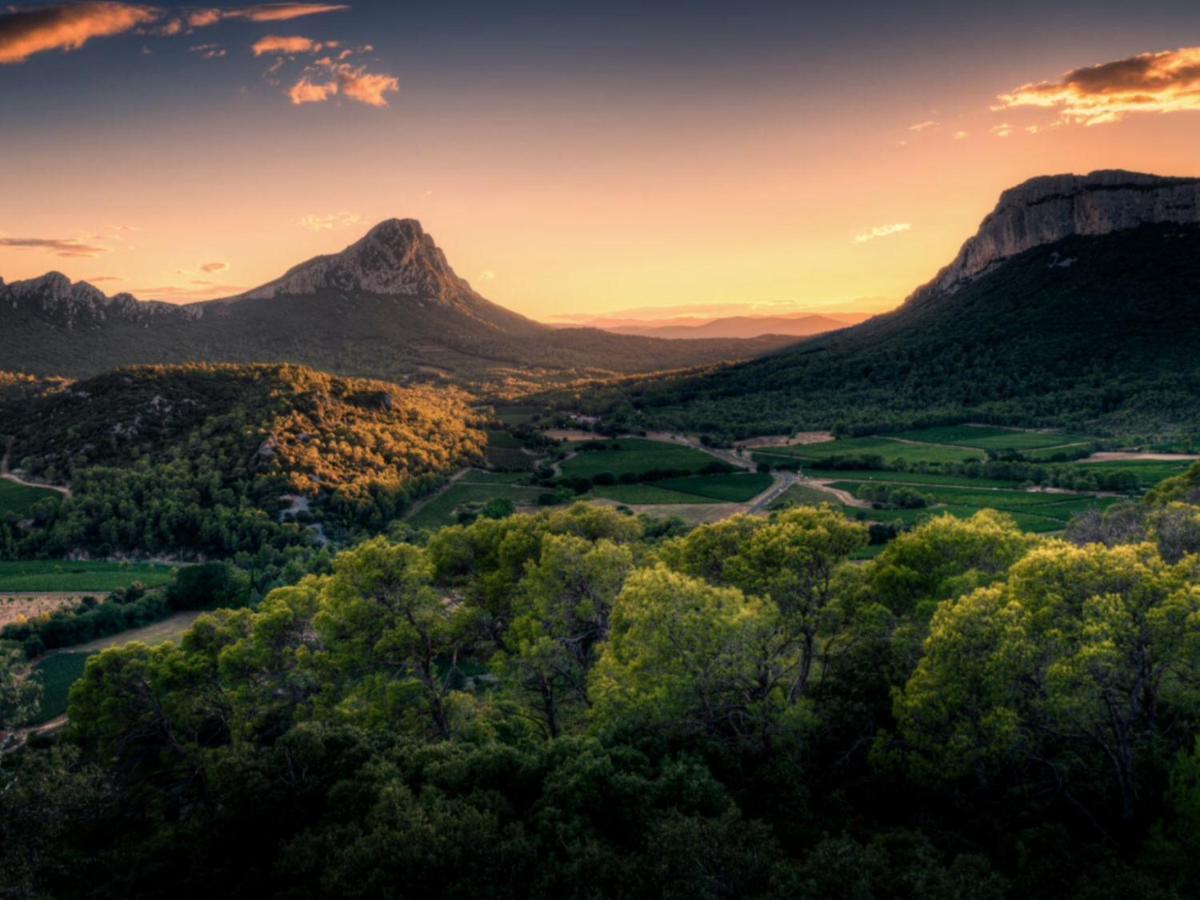 Le Castellas du Pic St Loup Saint-Mathieu-de-Tréviers Buitenkant foto