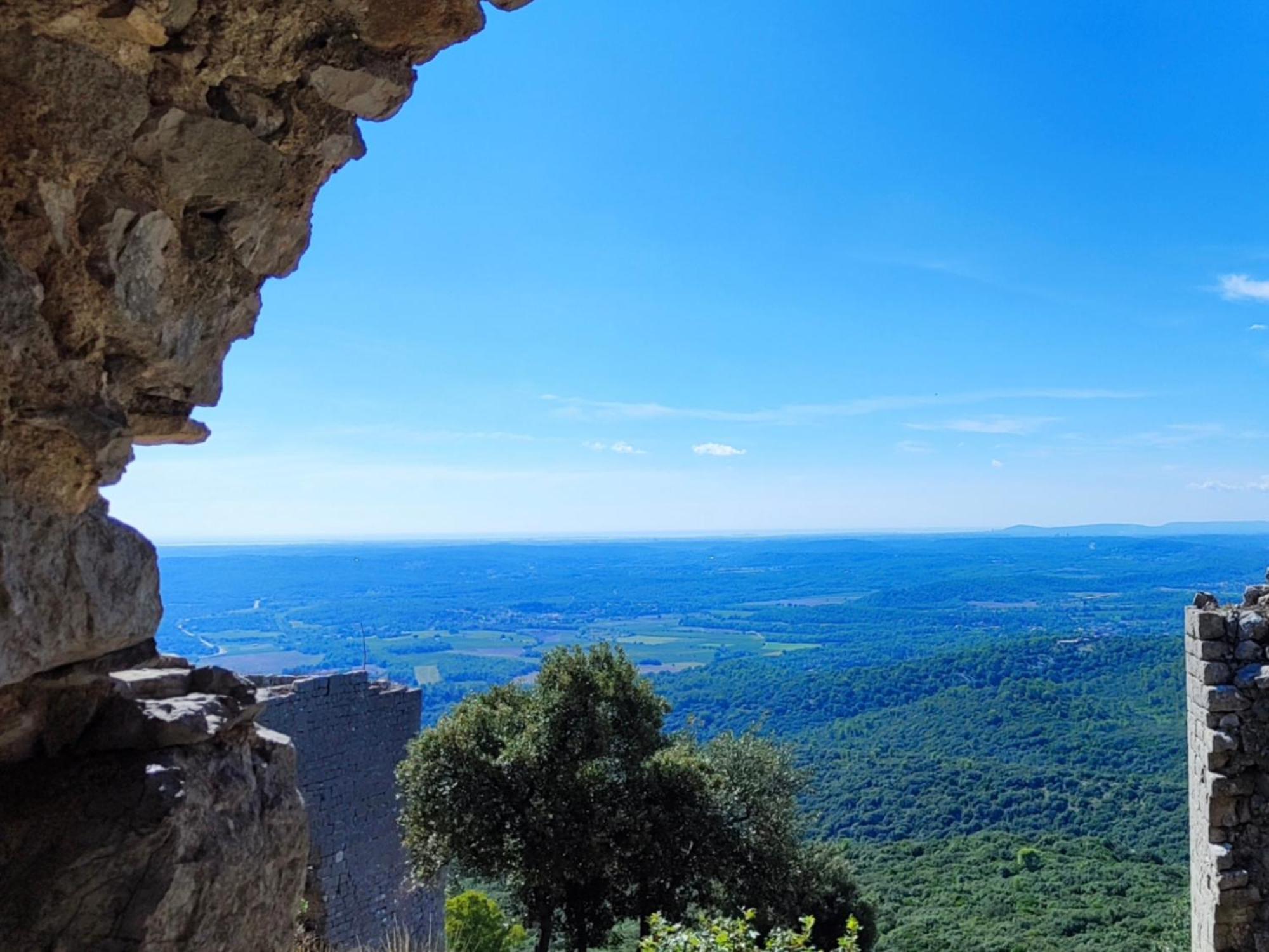 Le Castellas du Pic St Loup Saint-Mathieu-de-Tréviers Buitenkant foto